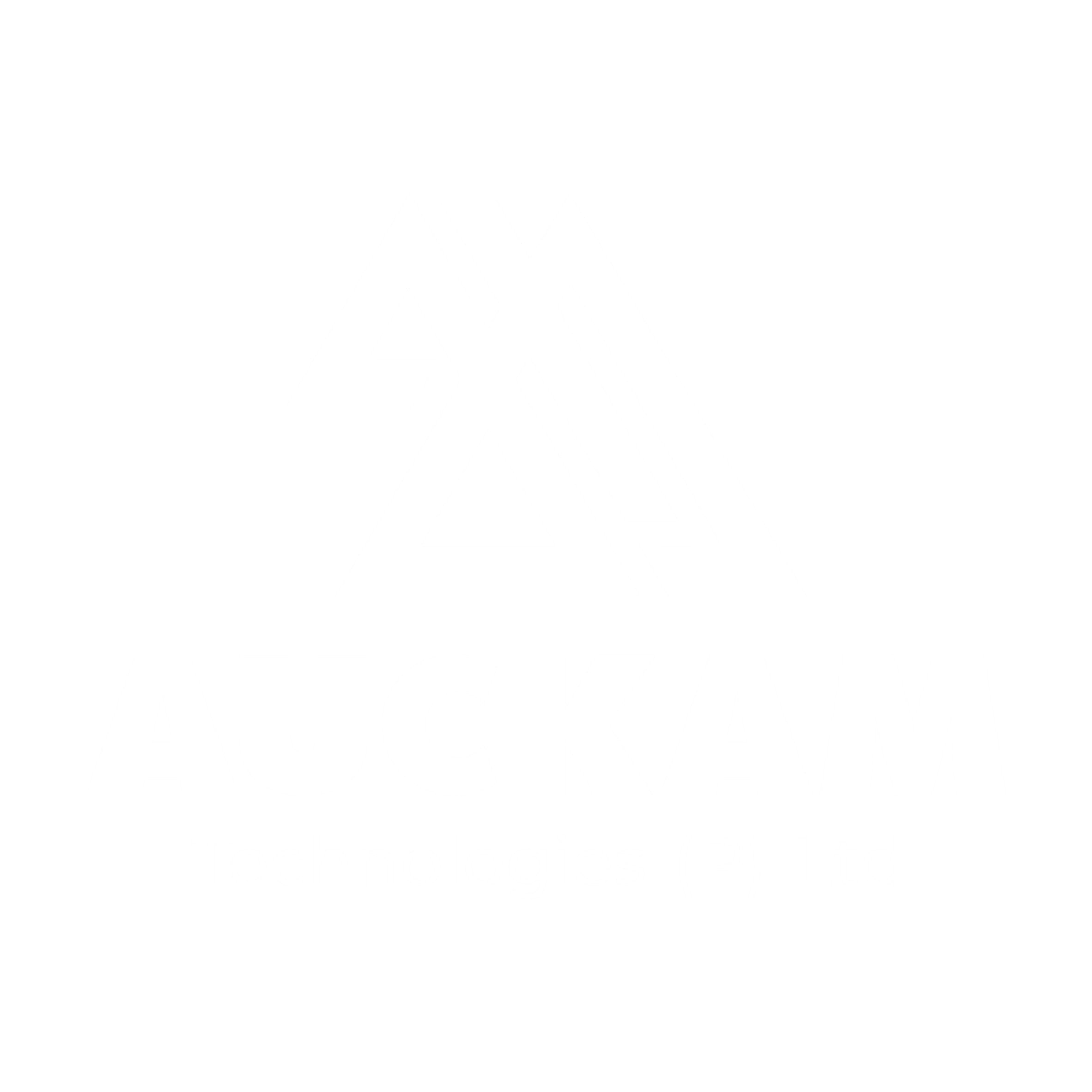Auckam Technologies Pvt Ltd logo – global electronics manufacturing and product engineering company.
